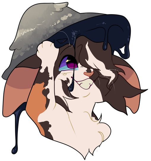 Unshaded headshot